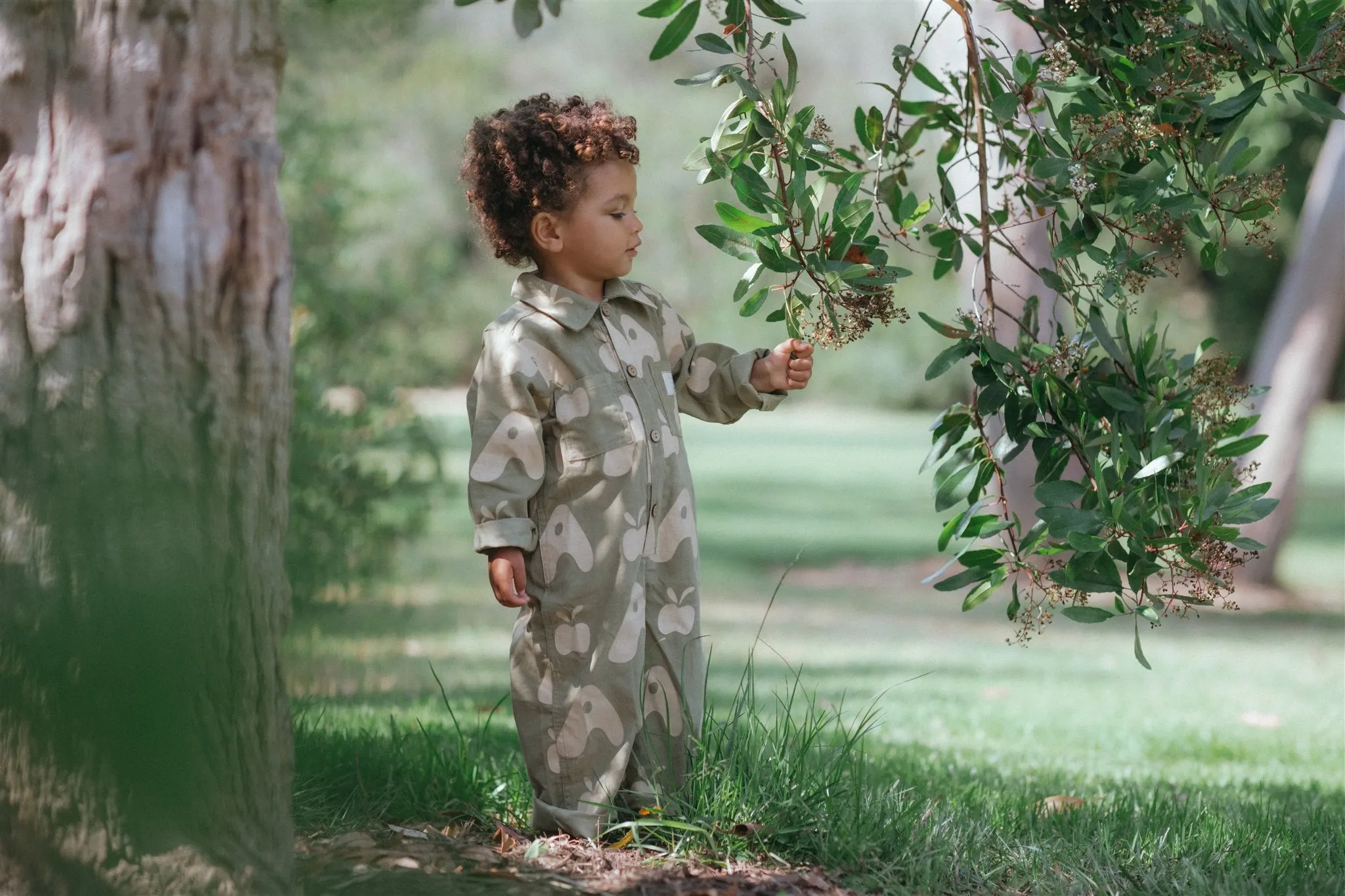 Buttons Jumpsuit - Olive Apple